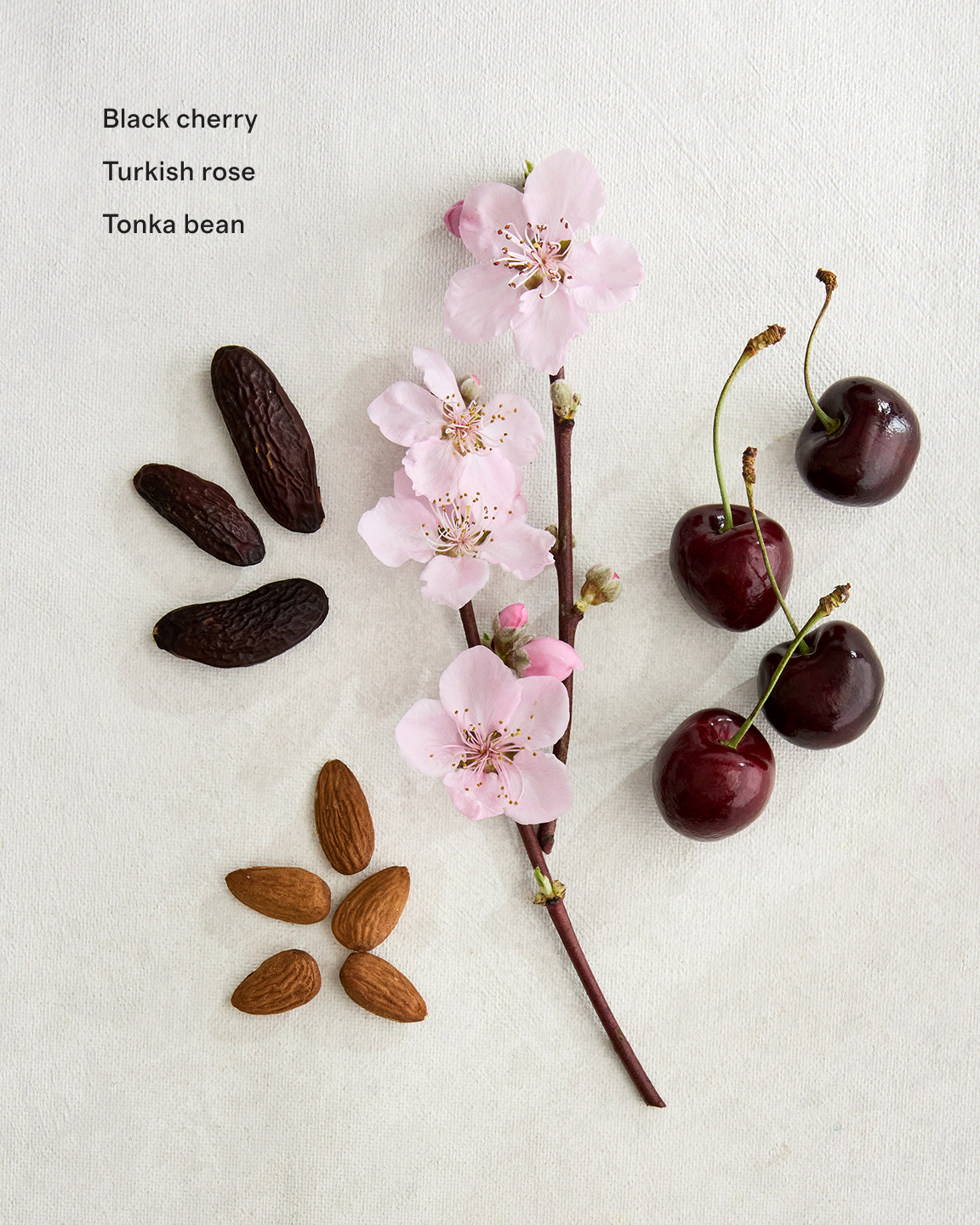 No Color Les Cerises Eau de Parfum — Image 3