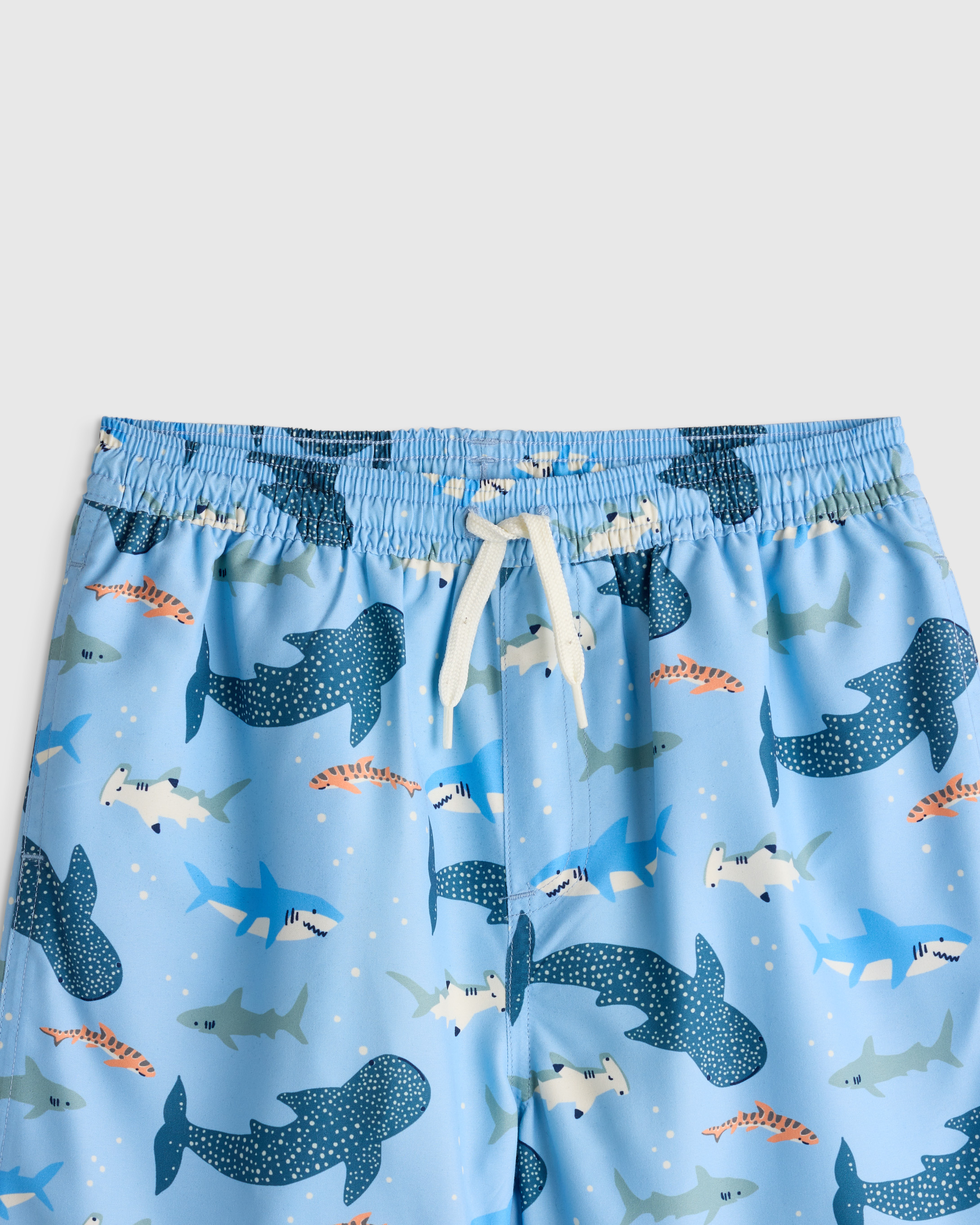 Swim Trunk — Image 11