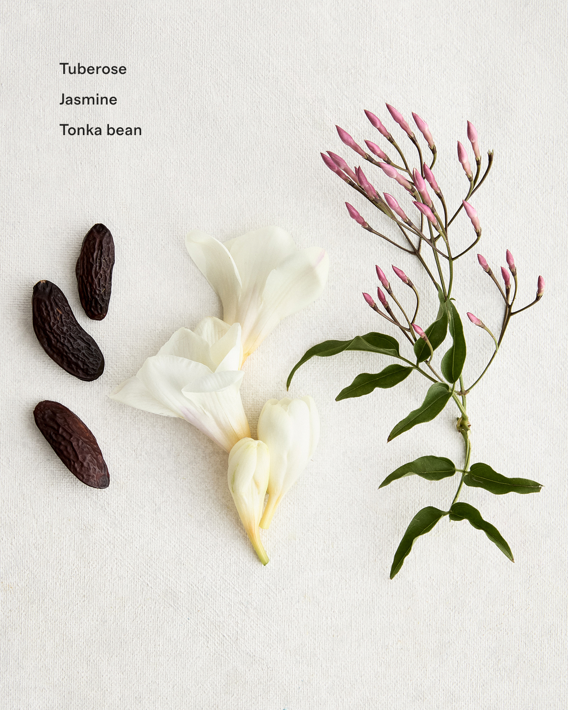 No Color Jasmin Nuit Eau de Parfum — Image 4