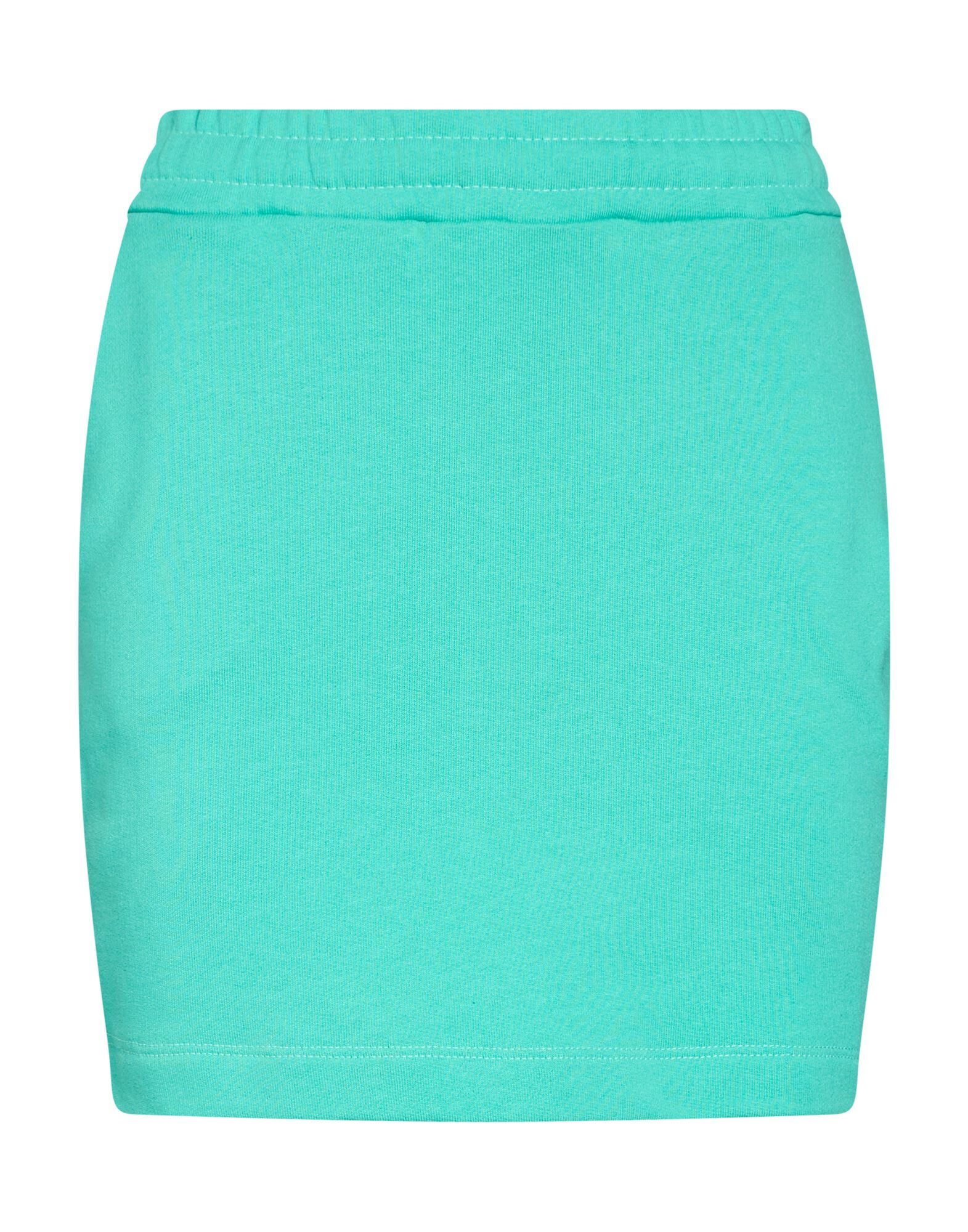 Women‘s Mini Skirt