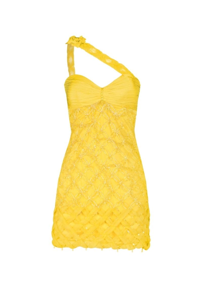 FLORA EMBELLISHED MINI DRESS