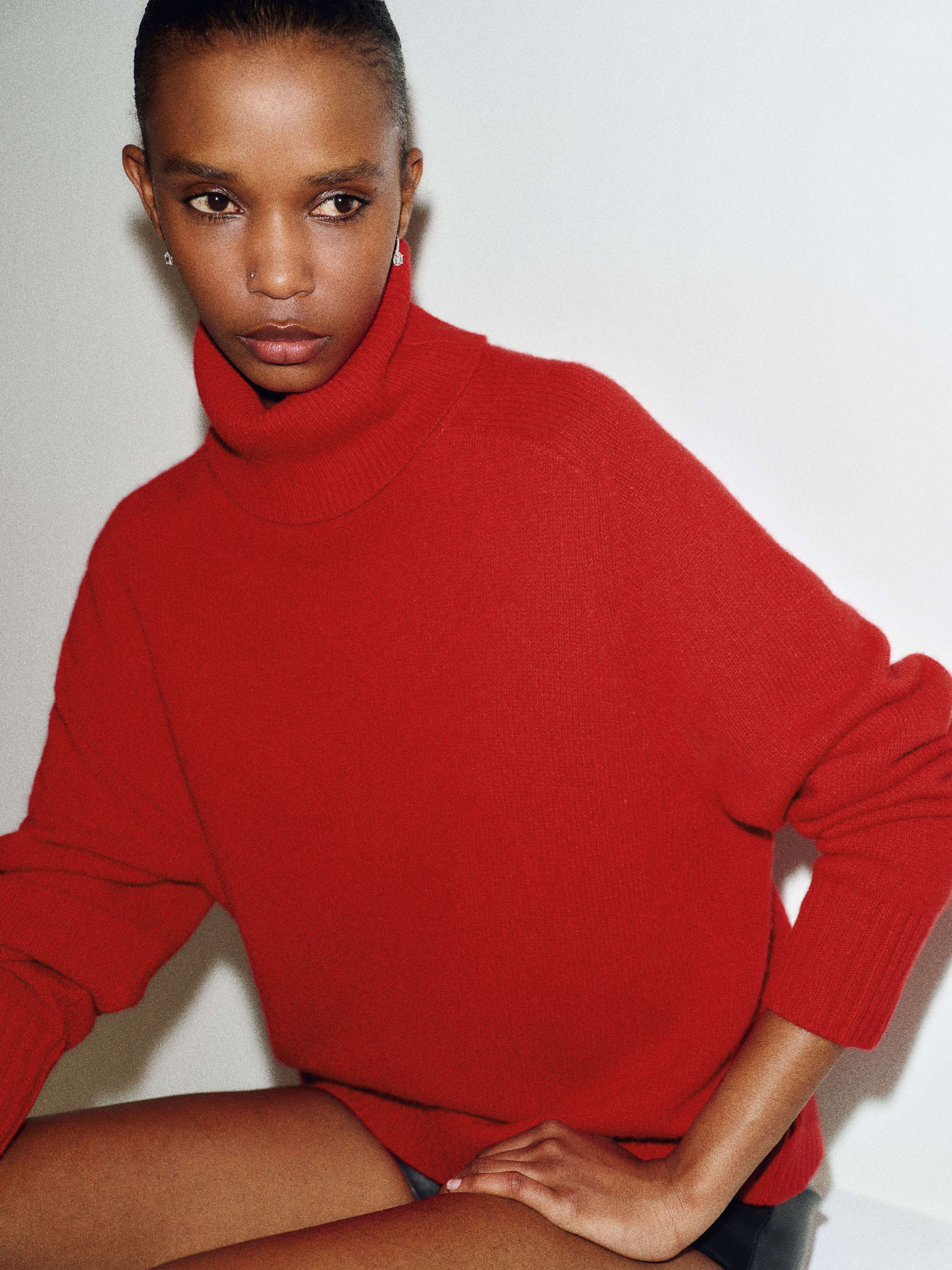 Dove Cashmere Oversized Turtleneck, image 2 of 6
